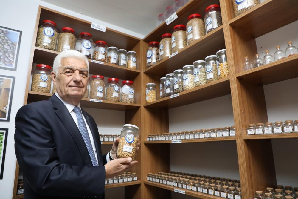 Muğla Belediyesi 19 Milyon Yerel Tohum Dağıttı 