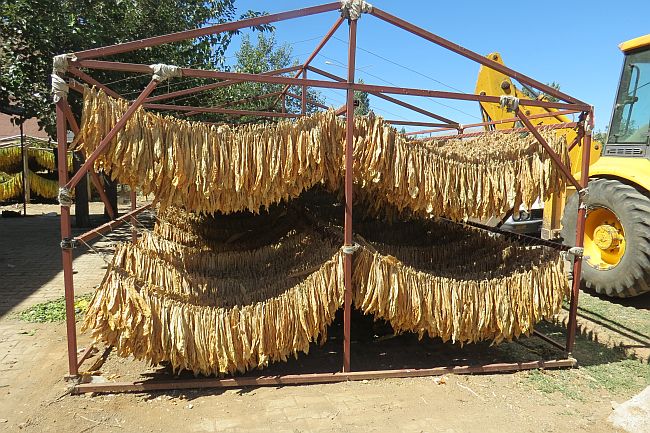 Tütün sektörü 2024 yılında 1 milyar dolar ihracat hedefliyor