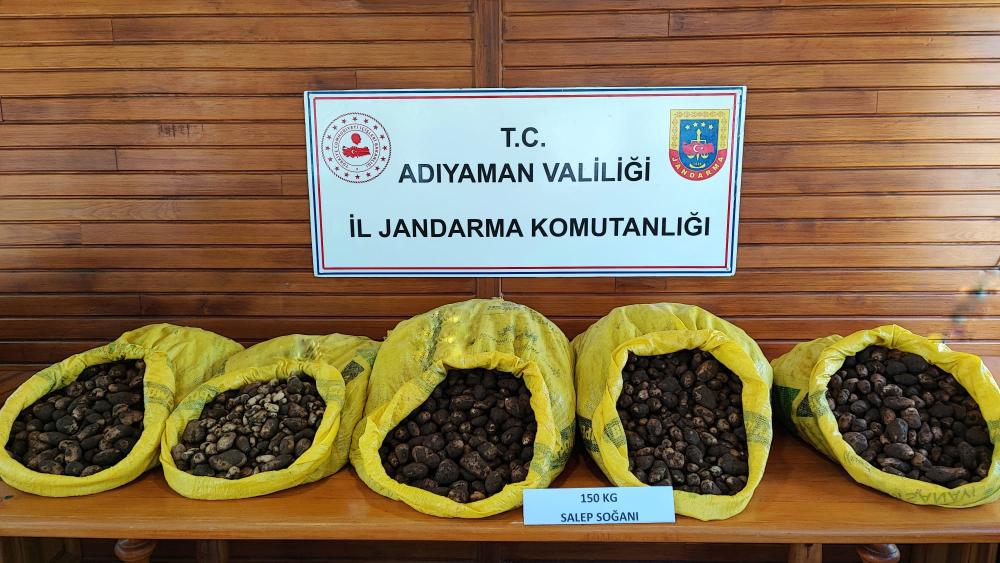 Yasaklı Salep Soğanını toplayan 5 şüpheli kişi gözaltına alındı