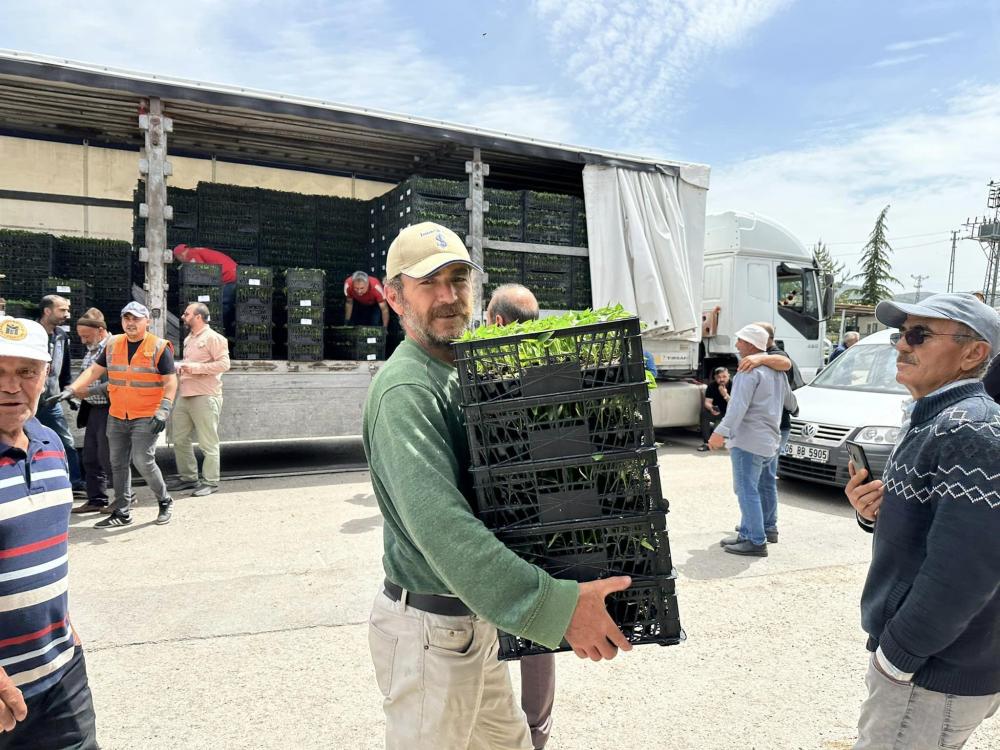 Güdül belediye başkanı Mehmet Doğanay: Çiftçimize sebze fidesi dağıtımında bulunduk