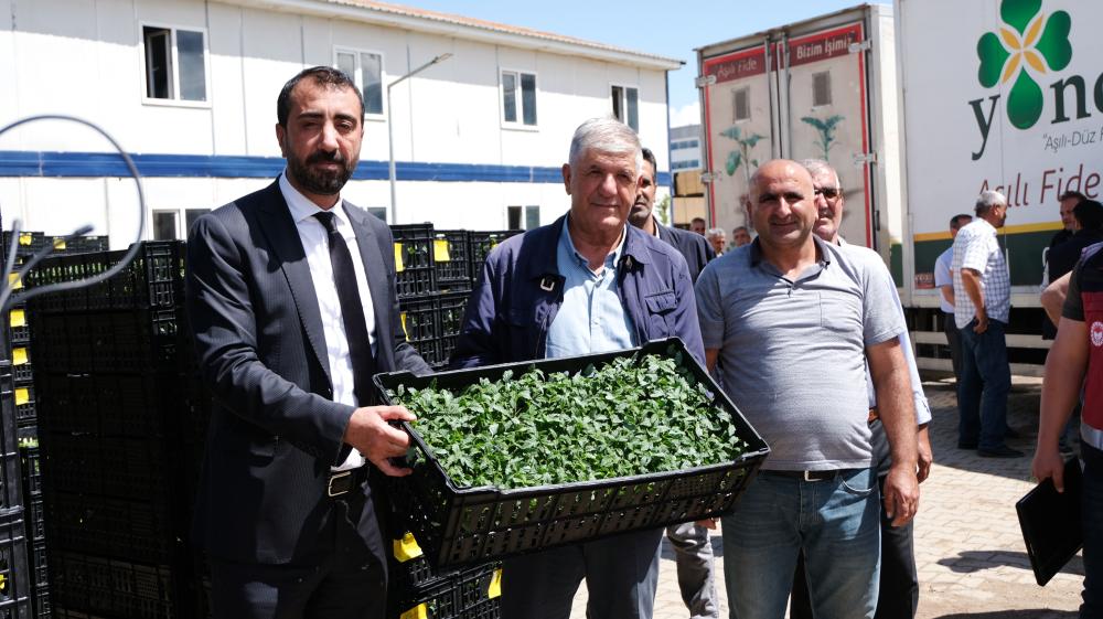 Bingöl’de Çiftçilere 390 Bin Adet Sebze Fidesi Dağıtıldı